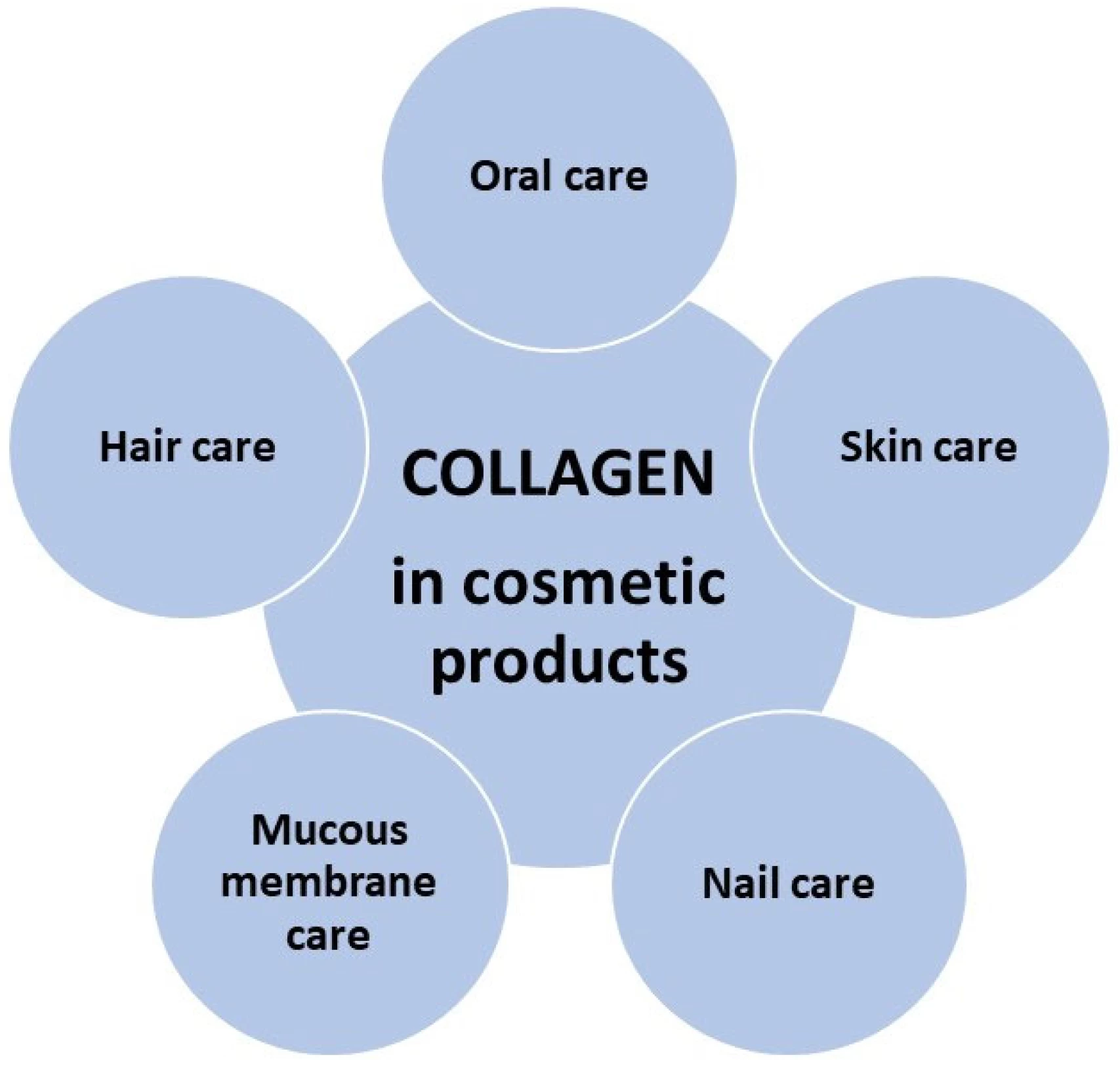How is Collagen Related to Skin Health?
